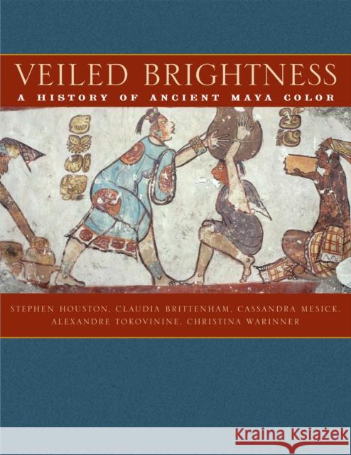 Veiled Brightness: A History of Ancient Maya Color