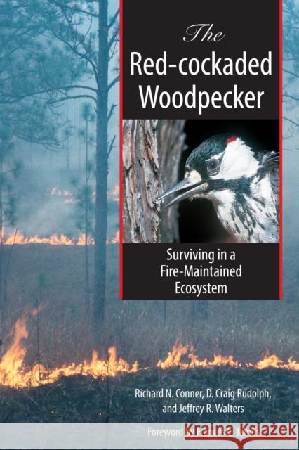 The Red-Cockaded Woodpecker: Surviving in a Fire-Maintained Ecosystem