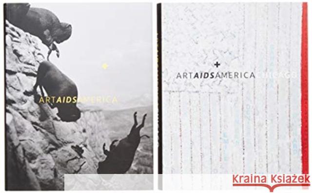 Art AIDS America / Art AIDS America Chicago Boxed Set