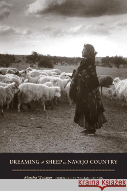 Dreaming of Sheep in Navajo Country