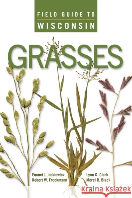 Field Guide to Wisconsin Grasses