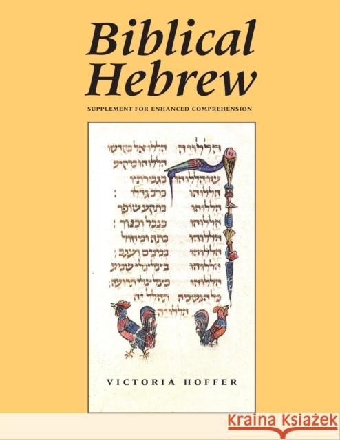 Biblical Hebrew, Second Ed. (Supplement for Advanced Comprehension)