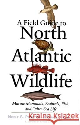 A Field Guide to North Atlantic Wildlife: Marine Mammals, Seabirds, Fish, and Other Sea Life