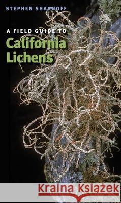 A Field Guide to California Lichens