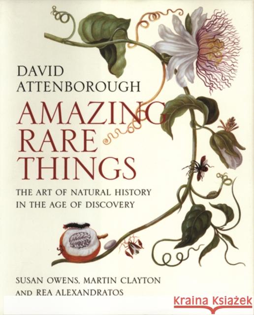 Amazing Rare Things: The Art of Natural History in the Age of Discovery