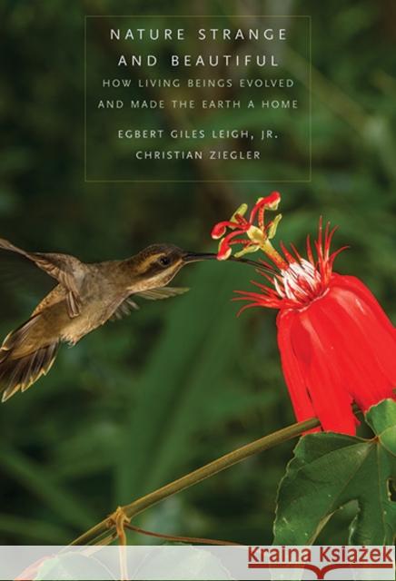 Nature Strange and Beautiful: How Living Beings Evolved and Made the Earth a Home