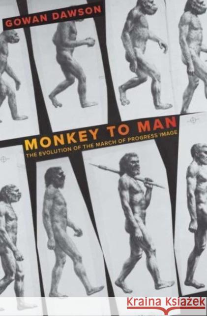 Monkey to Man: The Evolution of the March of Progress Image