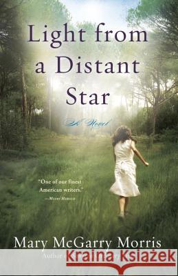 Light from a Distant Star: A Novel