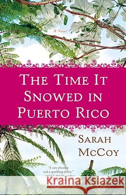 The Time It Snowed in Puerto Rico