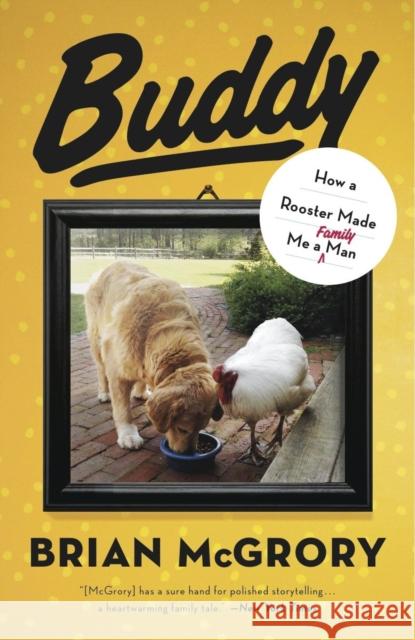 Buddy: How a Rooster Made Me a Family Man