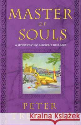 Master of Souls: A Mystery of Ancient Ireland