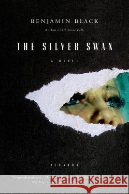 Silver Swan