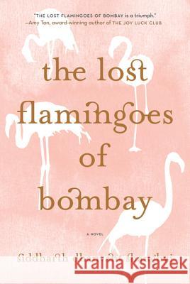 The Lost Flamingoes of Bombay