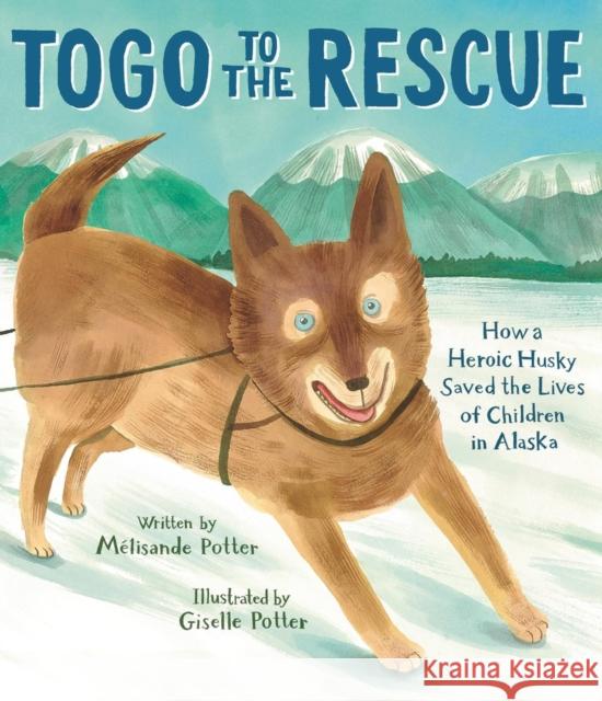 Togo to the Rescue: How a Heroic Husky Saved the Lives of Children in Alaska