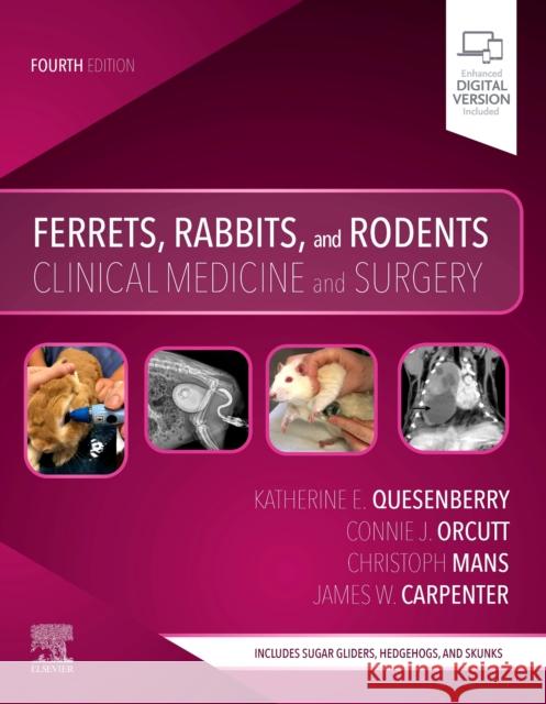 Ferrets, Rabbits, and Rodents: Clinical Medicine and Surgery