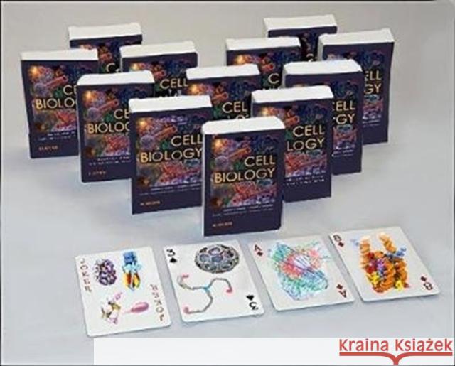 Cell Biology Playing Cards: Cell Biology Playing Cards: Art Cards Box of 12 Decks (Bulk)