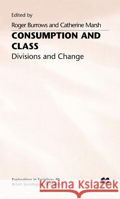 Consumption and Class: Divisions and Change