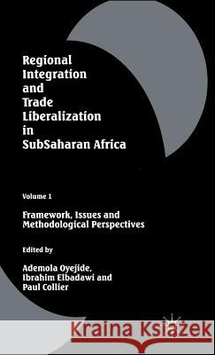 Regional Integration and Trade Liberalization in Subsaharan Africa: Volume 1: Framework, Issues and Methodological Perspectives