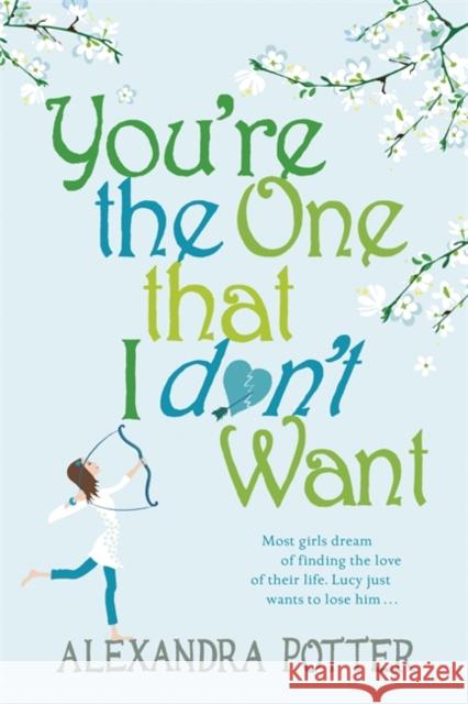 You're the One that I don't want: A hilarious, escapist romcom from the author of CONFESSIONS OF A FORTY-SOMETHING F##K UP!