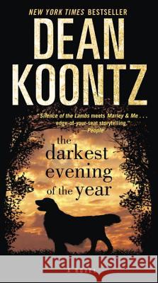 The Darkest Evening of the Year