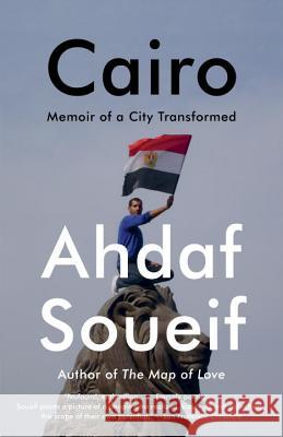Cairo: Memoir of a City Transformed