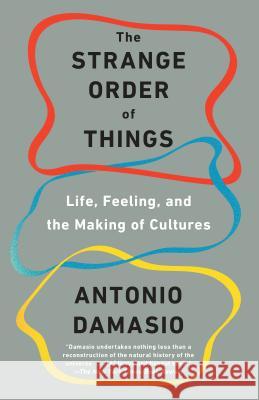The Strange Order of Things: Life, Feeling, and the Making of Cultures