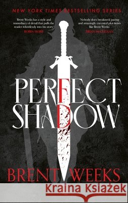 Perfect Shadow: A Night Angel Novella
