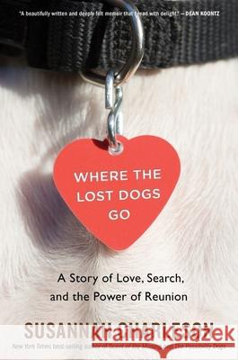 Where the Lost Dogs Go: A Story of Love, Search, and the Power of Reunion