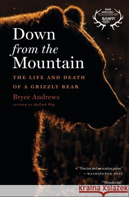 Down from the Mountain: The Life and Death of a Grizzly Bear