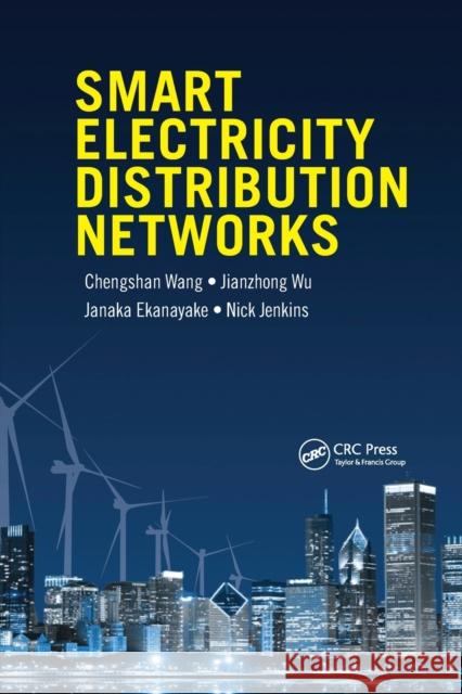 Smart Electricity Distribution Networks