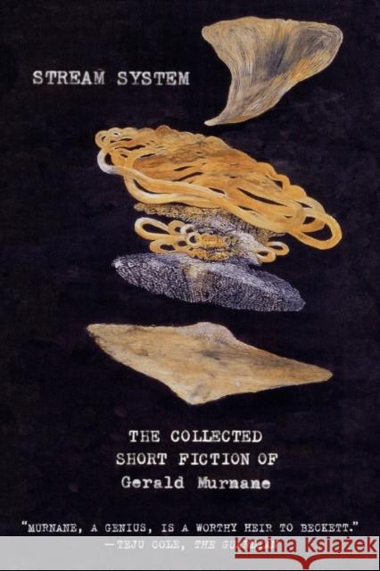 Stream System: The Collected Short Fiction of Gerald Murnane