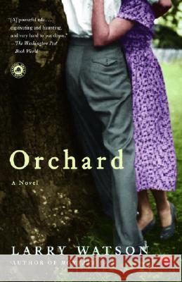 Orchard