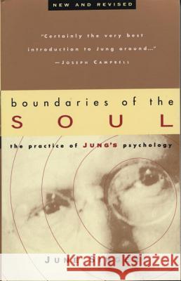 Boundaries of the Soul: The Practice of Jung's Psychology