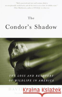 The Condor's Shadow: The Loss and Recovery of Wildlife in America