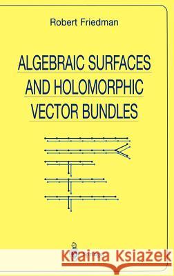 Algebraic Surfaces and Holomorphic Vector Bundles