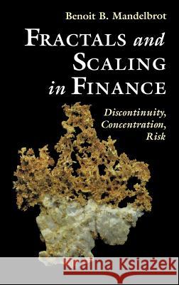 Fractals and Scaling in Finance: Discontinuity, Concentration, Risk. Selecta Volume E