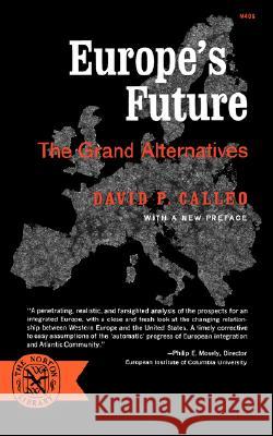Europe's Future: The Grand Alternatives