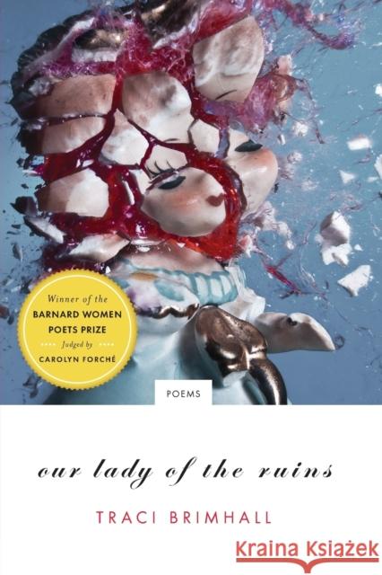 Our Lady of the Ruins: Poems