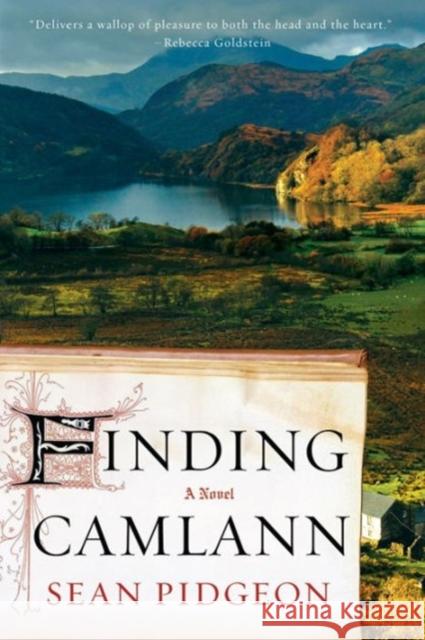 Finding Camlann