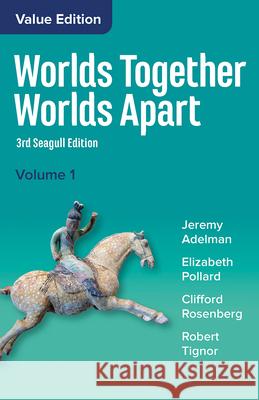 Worlds Together, Worlds Apart: A History of the World from the Beginnings of Humankind to the Present