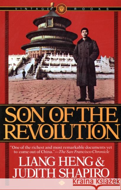 Son of the Revolution