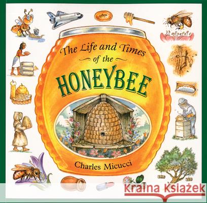 The Life and Times of the Honeybee