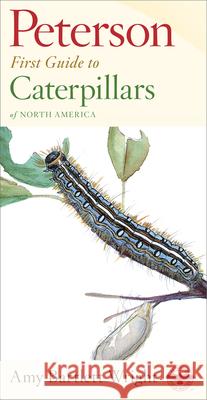 Peterson First Guide to Caterpillars of North America