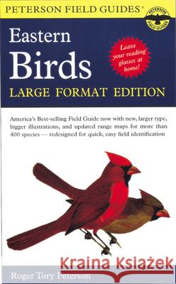 A Peterson Field Guide to the Birds of Eastern and Central North America: Large Format Edition