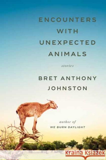 Encounters with Unexpected Animals: Stories