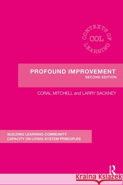Profound Improvement: Building Capacity for a Learning Community
