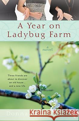A Year on Ladybug Farm