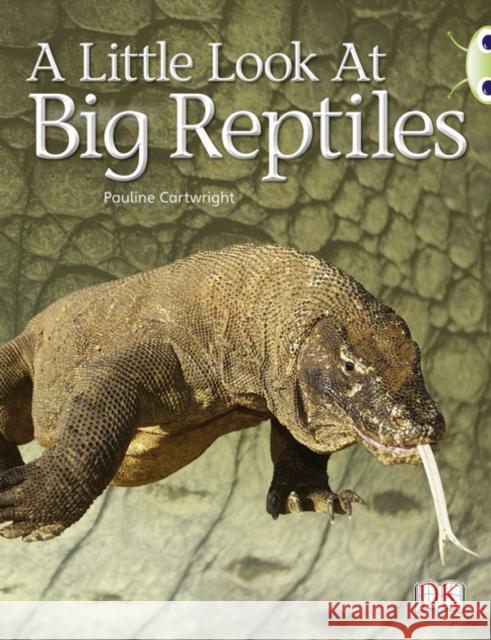 Bug Club Guided Non Fiction Year 1 Blue B A Little Look at Big Reptiles