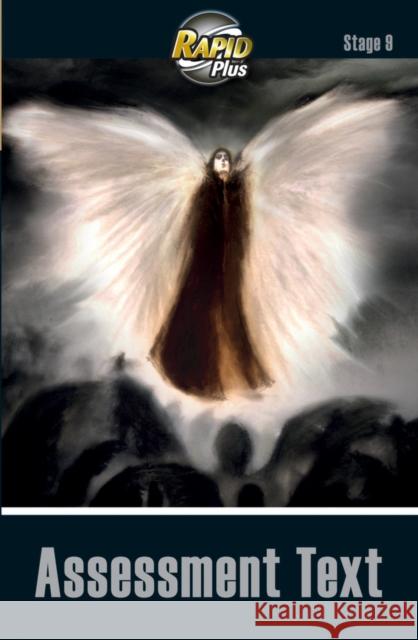 RapidPlus Assessment Book Stage 9