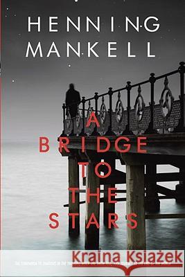 A Bridge to the Stars